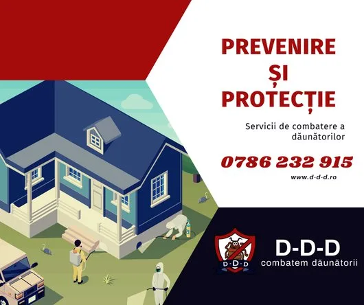 Dezinsectie - Deratizare Bucuresti - Ilfov