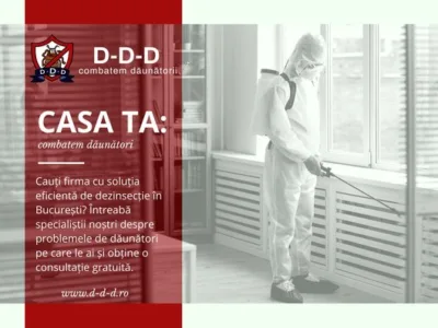 Dezinsectie - Deratizare Bucuresti - Ilfov
