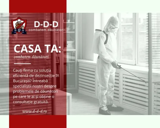 Dezinsectie - Deratizare Bucuresti - Ilfov