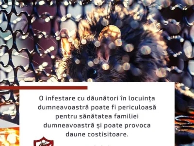 Dezinsectie - Deratizare Bucuresti - Ilfov