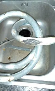 Instalatii termice - sanitare - mentenanta si service