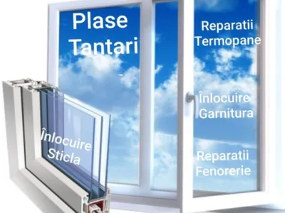 Reparatii Termopane Premium