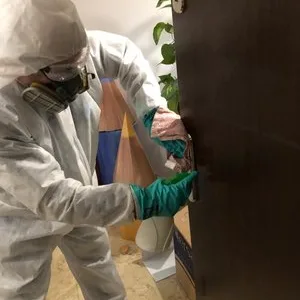 Servicii premium de dezinfectie prin nebulizare