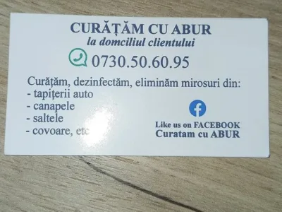 Curatam cu abur