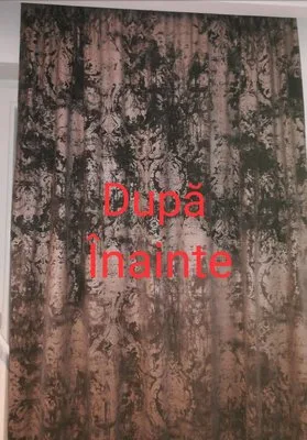 Curatare Canapele si tapiterie auto Bucuresti