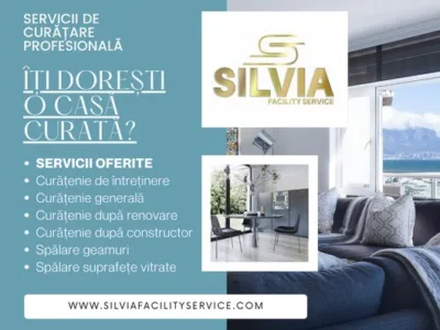 Servicii curatenie