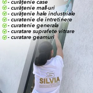 Servicii curatenie