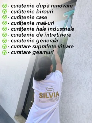 Servicii curatenie