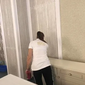 Servicii curatenie