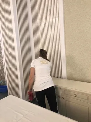 Servicii curatenie