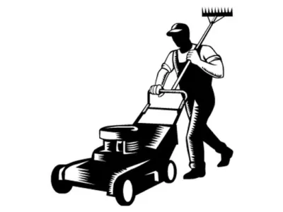 Intretinere gradini - gazon