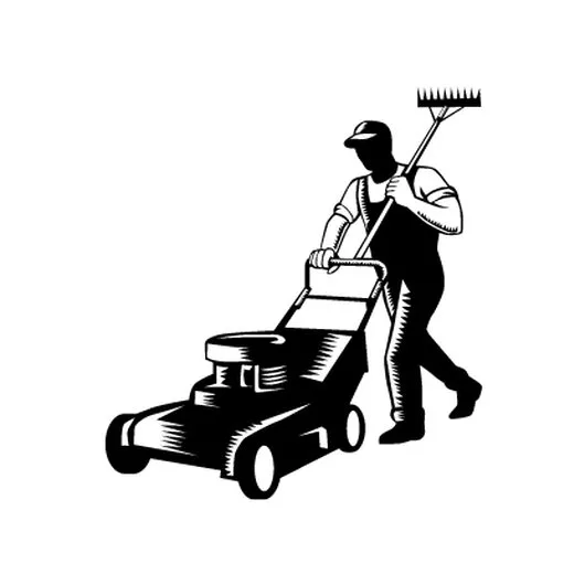 Intretinere gradini - gazon