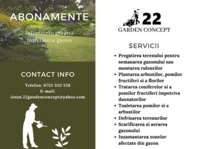 Intretinere gradini - gazon