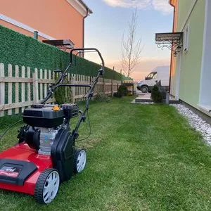 Intretinere gradini - gazon