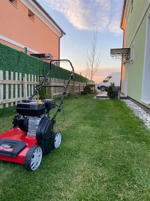 Intretinere gradini - gazon