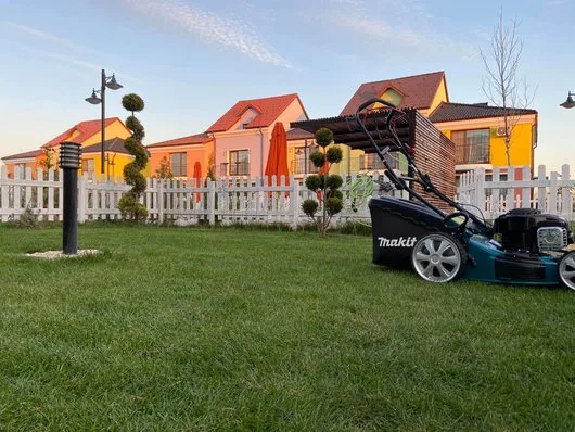 Intretinere gradini - gazon