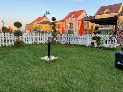 Intretinere gradini - gazon