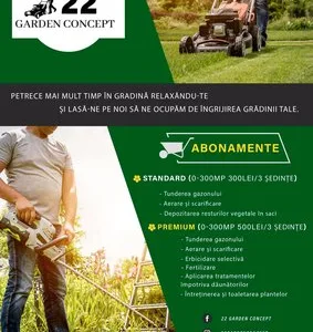 Intretinere gradini - gazon