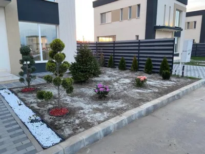 Intretinere gradini - gazon