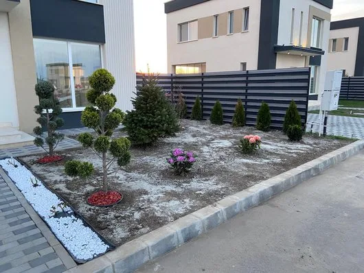 Intretinere gradini - gazon