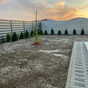 Intretinere gradini - gazon