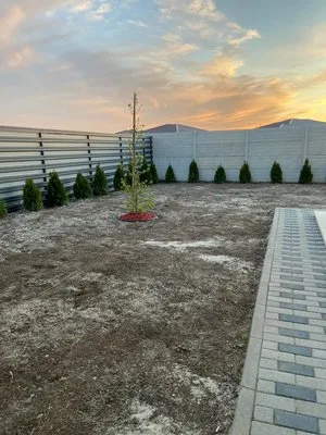 Intretinere gradini - gazon