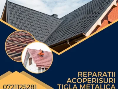 Acoperis,Montaj si reparatii acoperis Bilka