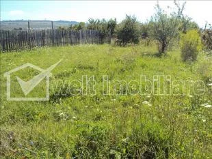 AGENTIA IMOBILIARA Welt Imobiliare