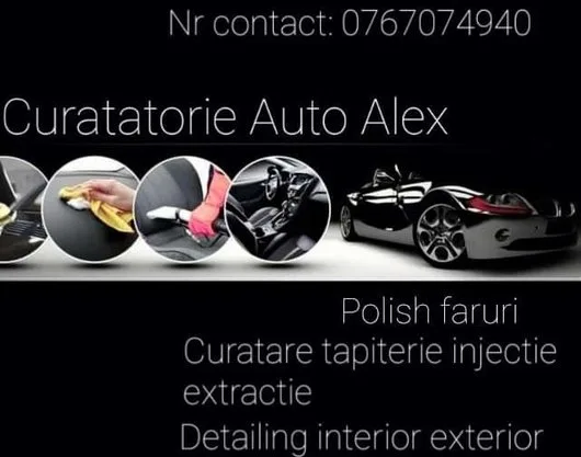 Curatatorie Auto Alex Balotesti