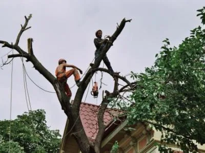 Alpinism utilitar Bucuresti