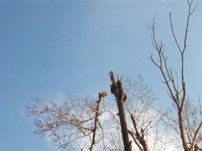 Alpinism utilitar Bucuresti