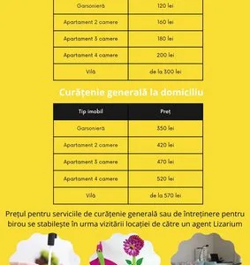 Servicii de curatenie