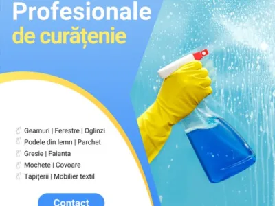 Servicii de curatenie