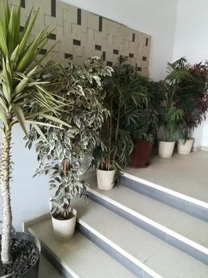 Firma de curatenie - Bucuresti