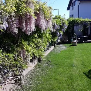 RDD Happy Garden