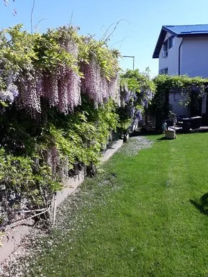 RDD Happy Garden