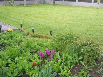 RDD Happy Garden