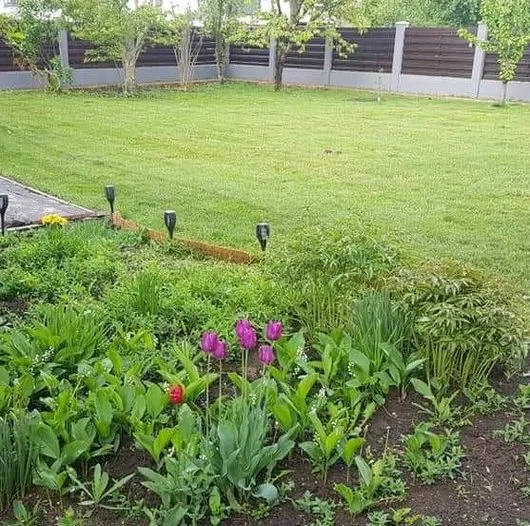RDD Happy Garden