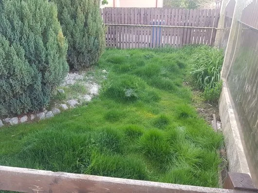 RDD Happy Garden