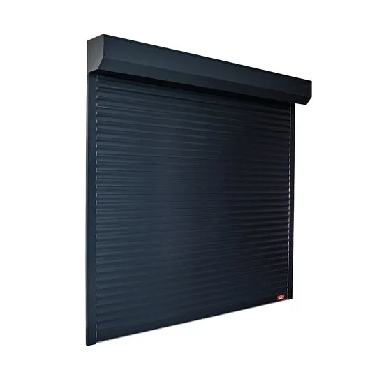 Automatizari porti - usi de garaj si rulouri exterioare - Bucuresti si Ilfov