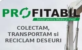 PROFITABIL INVEST COMPANY