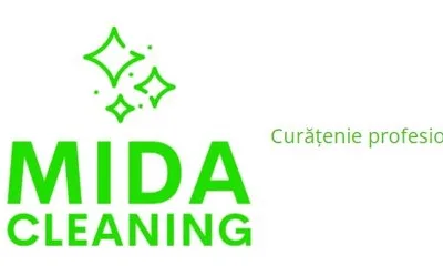 Curatenie profesionala