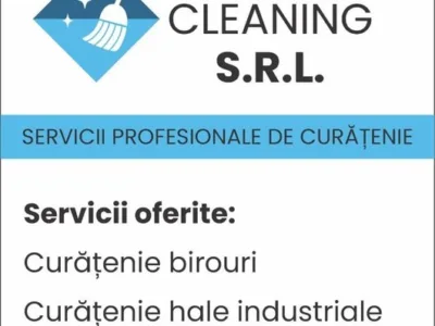 Servicii de curatenie