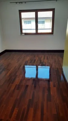 Servicii de curatenie