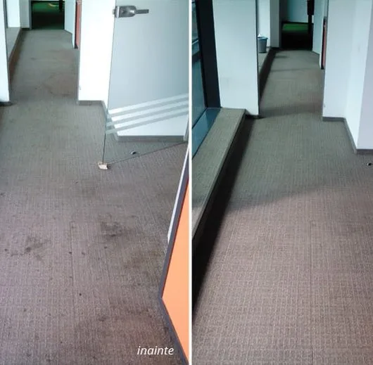 Servicii de curatenie