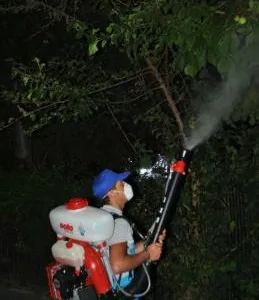 Servicii curatenie Bucuresti