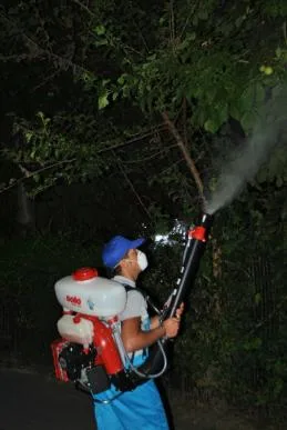 Servicii curatenie Bucuresti