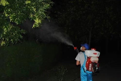 Servicii curatenie Bucuresti