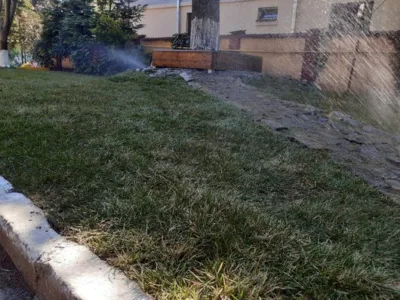 Servicii integrate pentru case si gradini