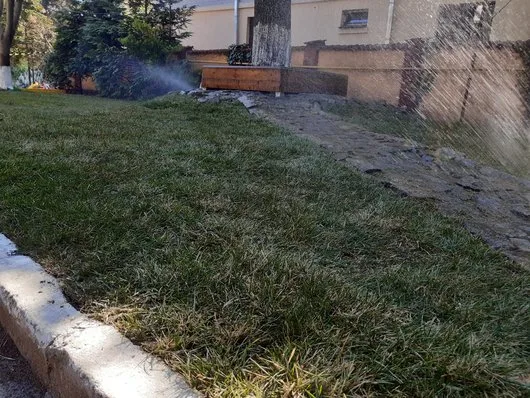 Servicii integrate pentru case si gradini